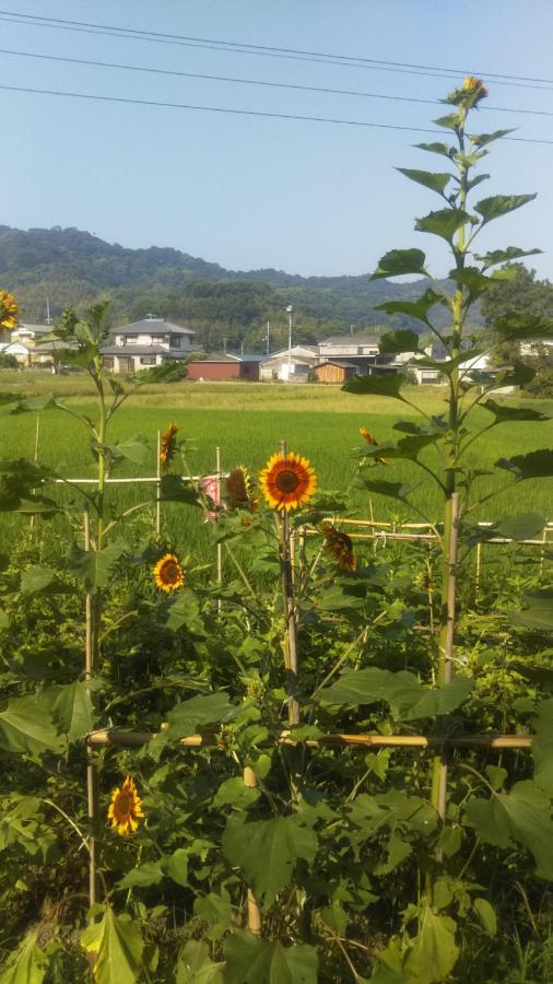 Raibrasil Guest House Sanuki  Dış mekan fotoğraf